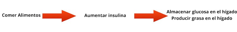 upinsulin-1_es
