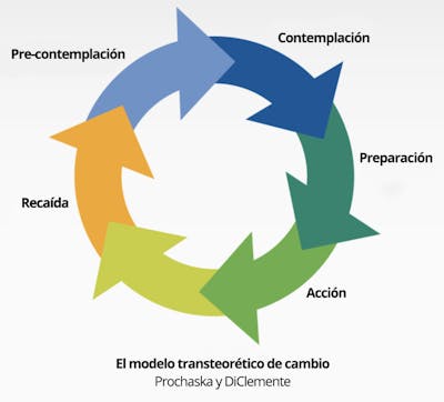 evelyne-2-800x723_es