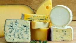 ¿Comer grasa extra te hace engordar?