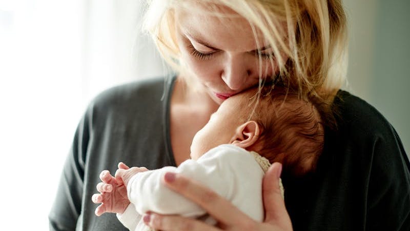 Un análisis más profundo de las anomalías del tubo neural y la alimentación: ¿sabes qué comer por el bien de tu bebé antes de que nazca?