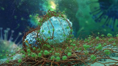 El efecto Warburg y el cáncer