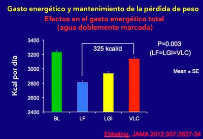 Efectos gasto energético total