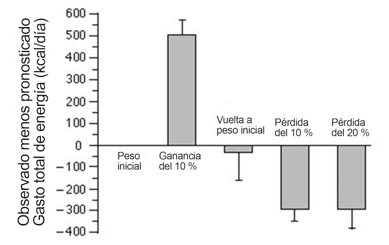 Gráfica de gasto de energía