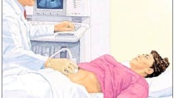 ¿Qué tan graso es tu hígado?