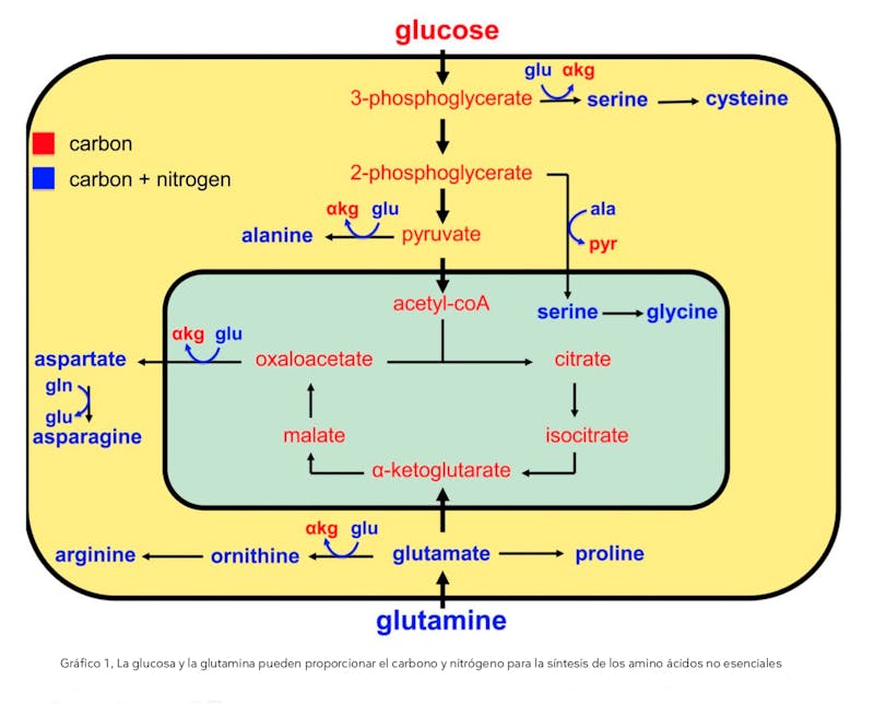 glucose