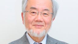 Cómo renovar tu cuerpo: ayuno y autofagia