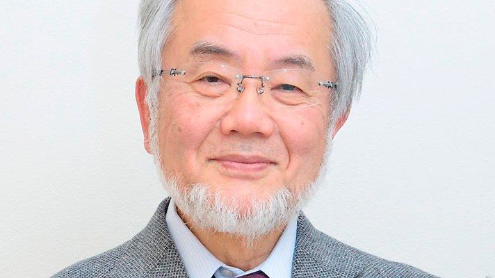 Yoshinori Ohsumi