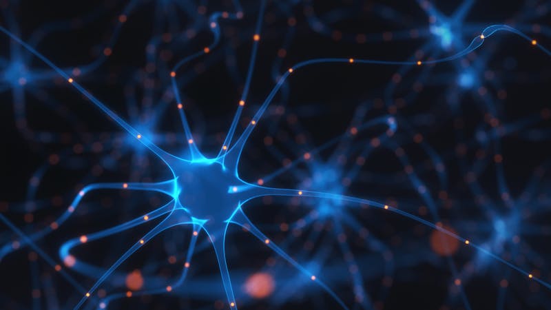 Neuronas