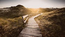 Dos semanas de la dieta cetogénica: Mi senda del éxito