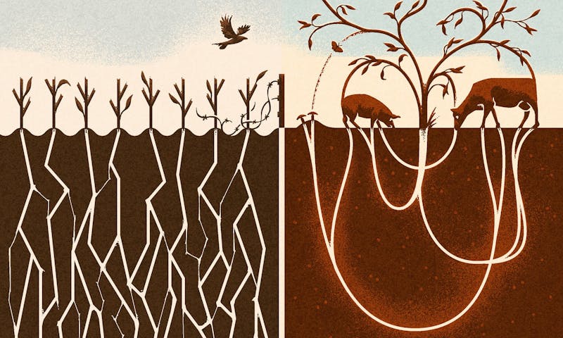 La respuesta no es el veganismo
