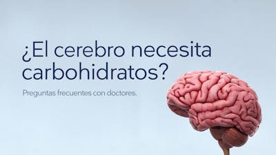 ¿El cerebro necesita carbohidratos?