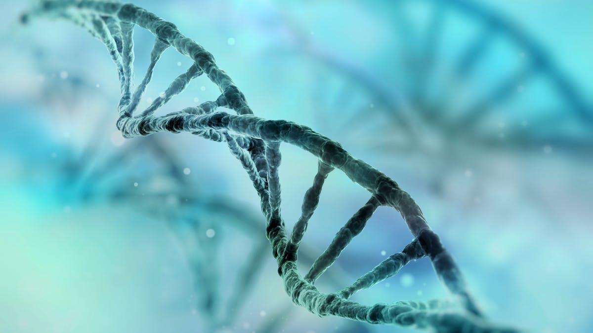 ¿Tus amigos delgados pueden devorar carbos? Quizá sean sus genes