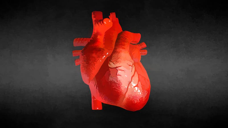 Corazón realista en 3d