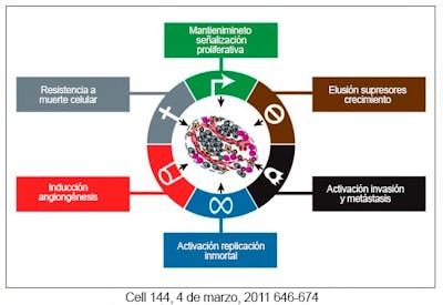 6 rasgos del cáncer
