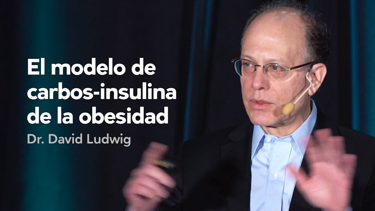 El modelo de carbos-insulina de la obesidad — Dr. David Ludwig