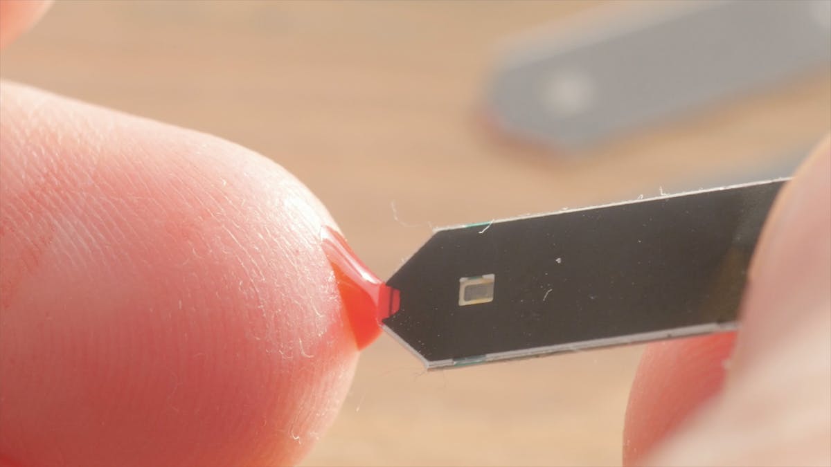 6. La toxicidad de la insulina y sus efectos