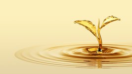 Aceites vegetales: lo que sabemos y lo que no