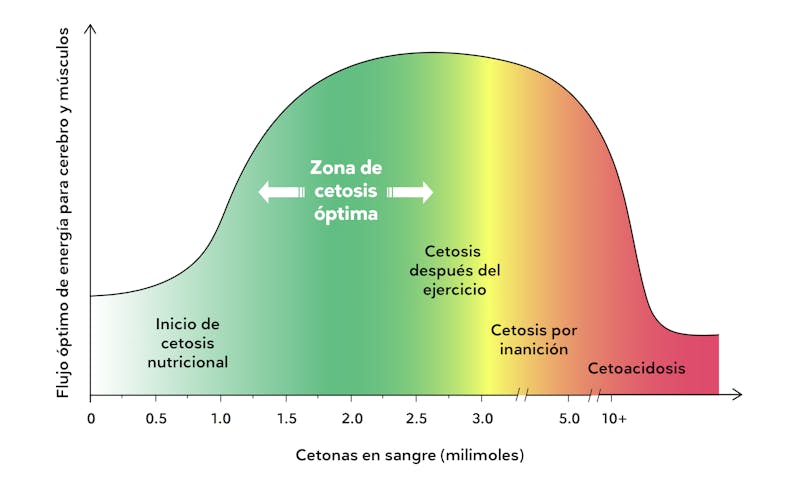 The Ketone Zone