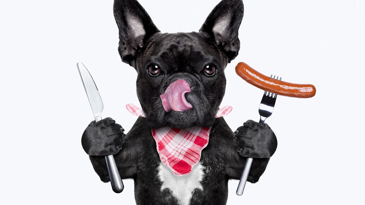 El arte de retomar el rumbo