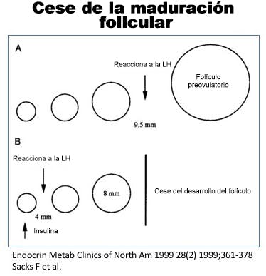 Cese maduración folicular
