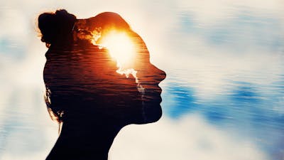 ¿El cerebro necesita carbohidratos?