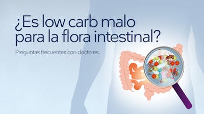 Preguntas frecuentes: ¿Es low carb malo para la flora intestinal?