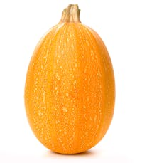 Calabaza espaguetti