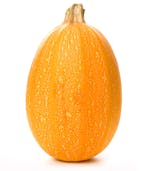 Calabaza espaguetti