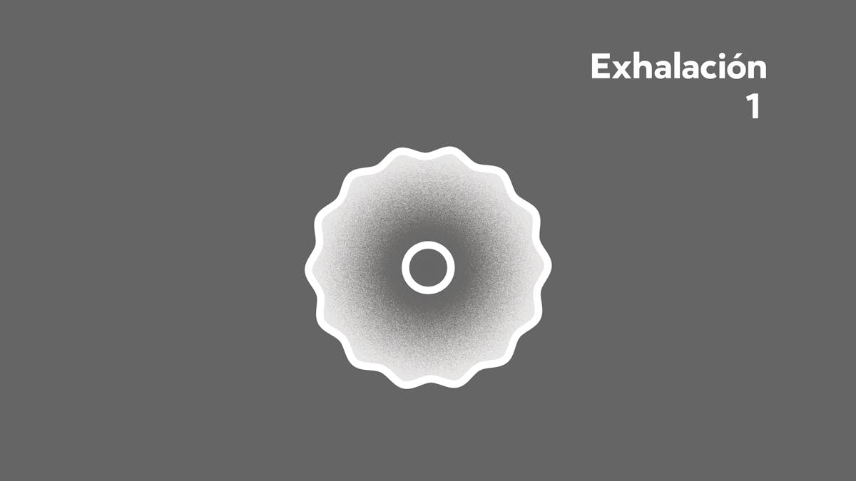 10. Respiración y digestión, ejercicio práctico