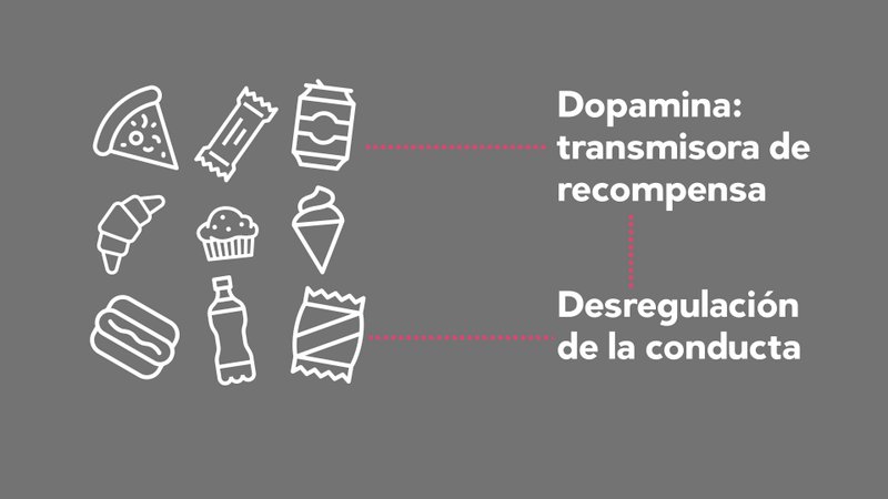 4. Efecto rebote