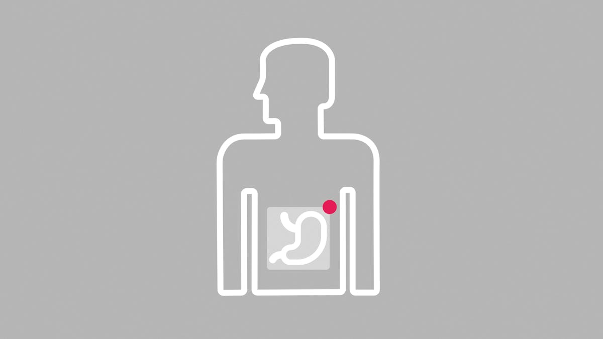 2. Las hormonas reguladoras del hambre