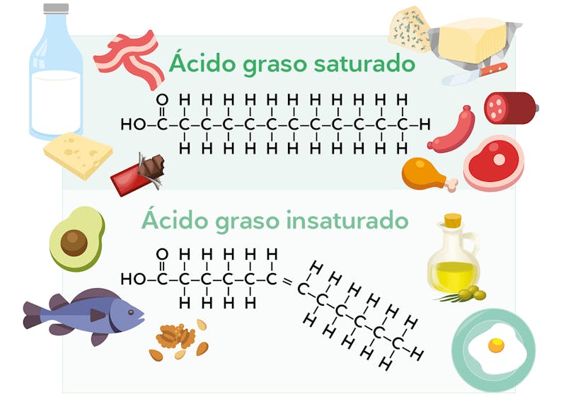 Ácidos grasos saturados e insaturados