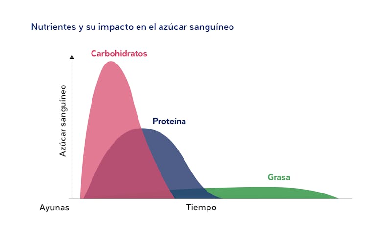 nutrientes y su impacto en el azucar sanguineo