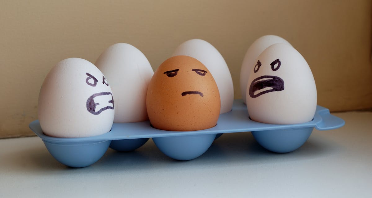 ¿Te has cansado de comer huevos?