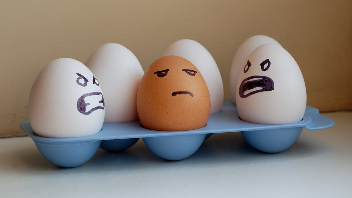 ¿Te has cansado de comer huevos?