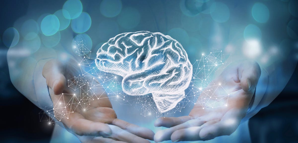 Guía completa sobre la cetosis