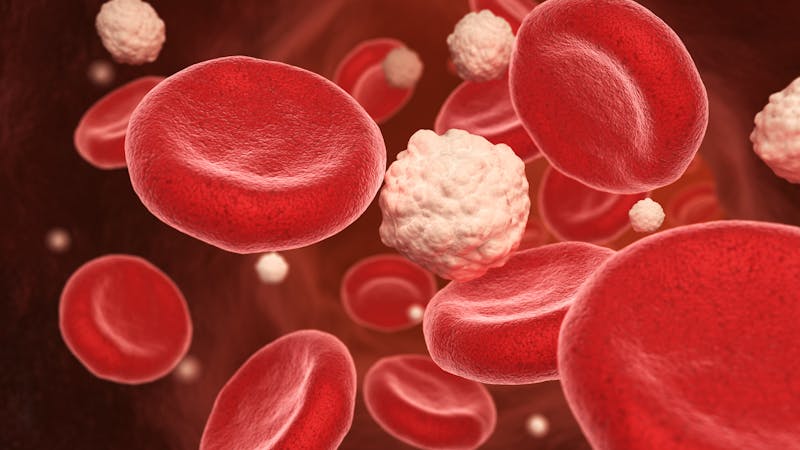 Células y glucosa en la sangre