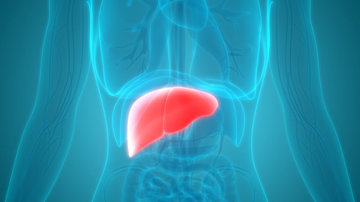 Enfermedad del hígado graso y keto: 5 cosas a tener en cuenta