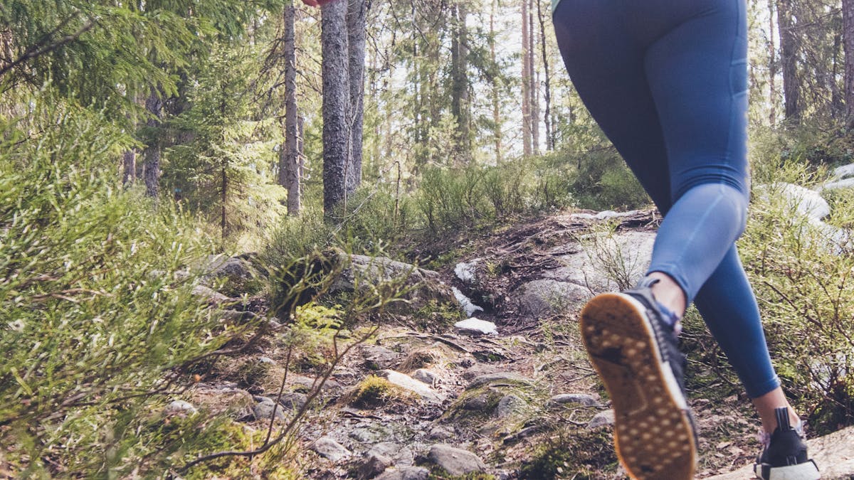 Guía: ejercicio y salud