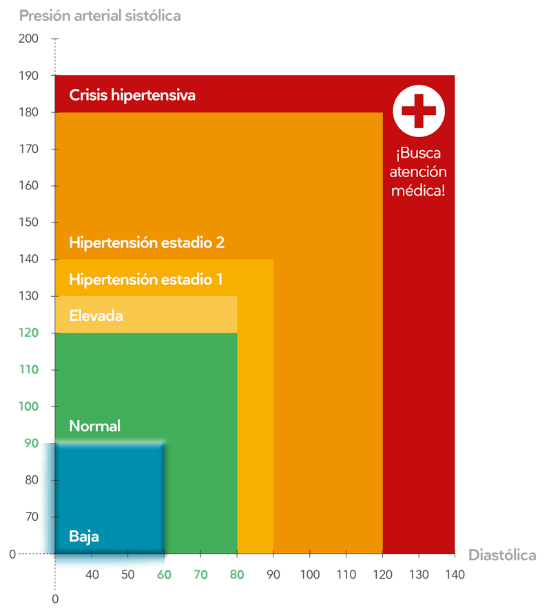 Presion Arterial Baja Todo Lo Que Necesitas Saber Al Respecto Diet Doctor Presion Arterial Baja Todo Lo Que Necesitas Saber Al Respecto Diet Doctor