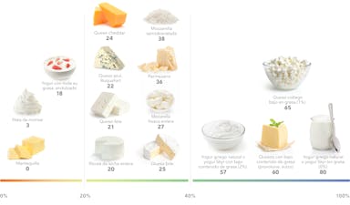Los mejores lácteos ricos en proteínas para perder peso