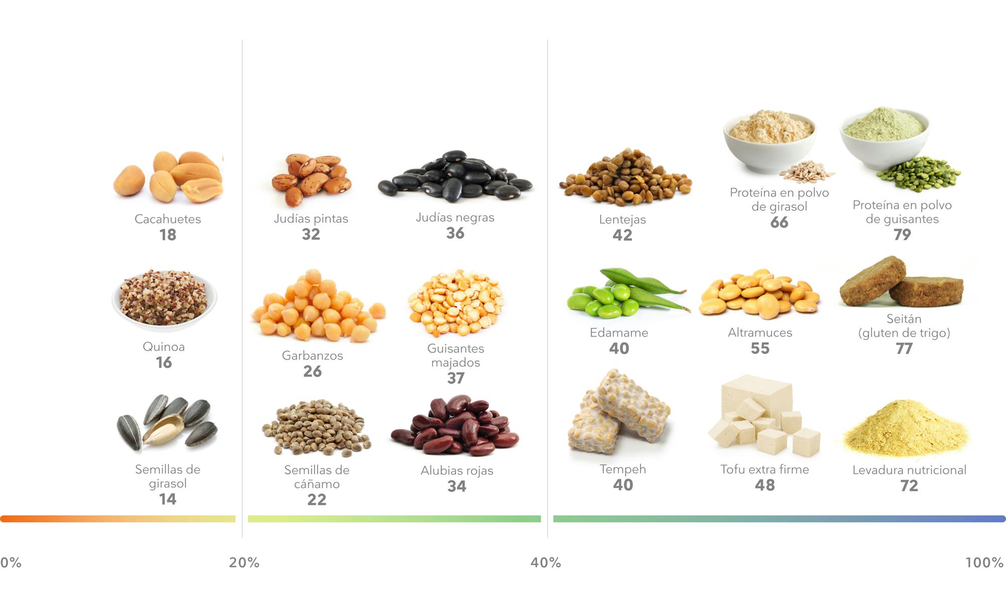 Los Mejores Alimentos De Origen Vegetal Ricos En Proteínas Diet Doctor 0595