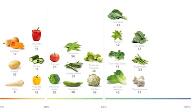 Las mejores verduras altas en proteínas para perder peso