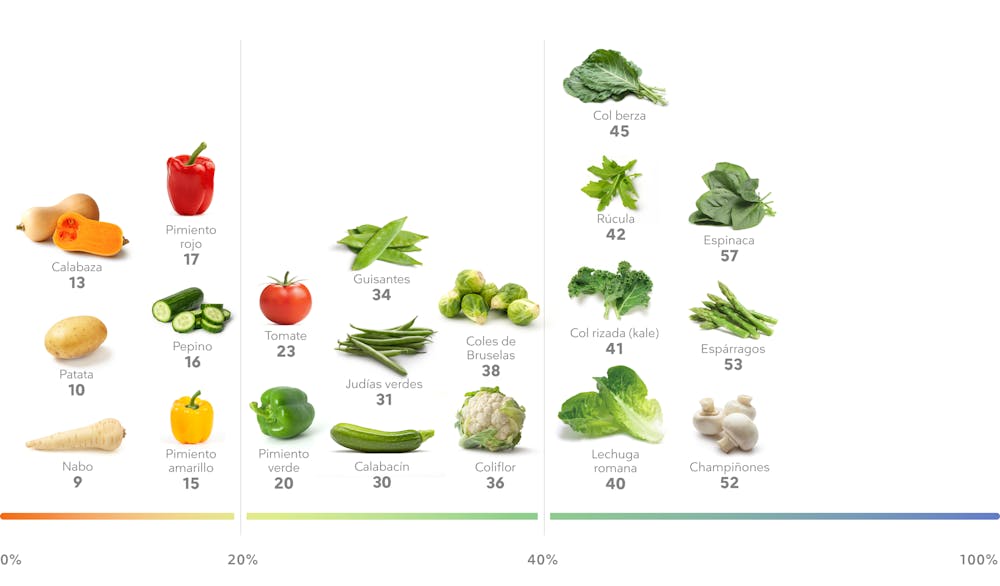 Las Mejores Verduras Altas En Proteínas Para Perder Peso Diet Doctor 9534