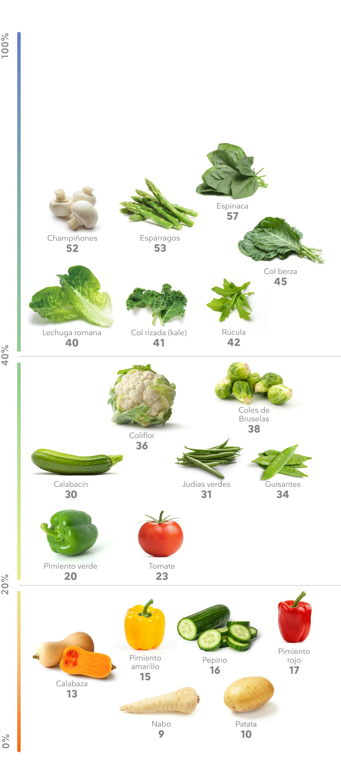 Porcentaje de proteína en verduras