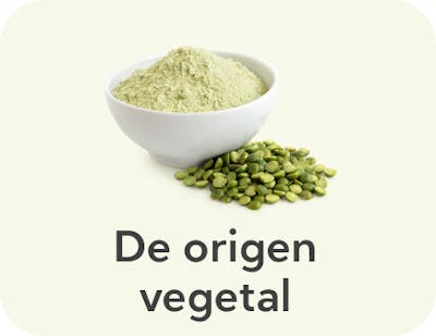 HP-guia-vegetal-mobile-1