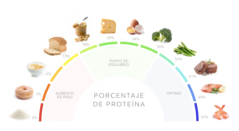 Porcentaje de proteína de alimentos populares
