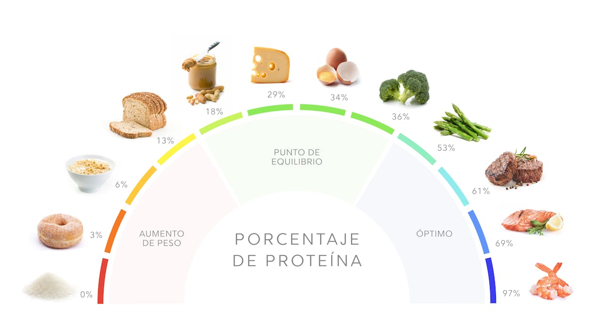 Dieta Alta En Proteínas Qué Es Y Cómo Llevarla A Cabo Diet Doctor 5496