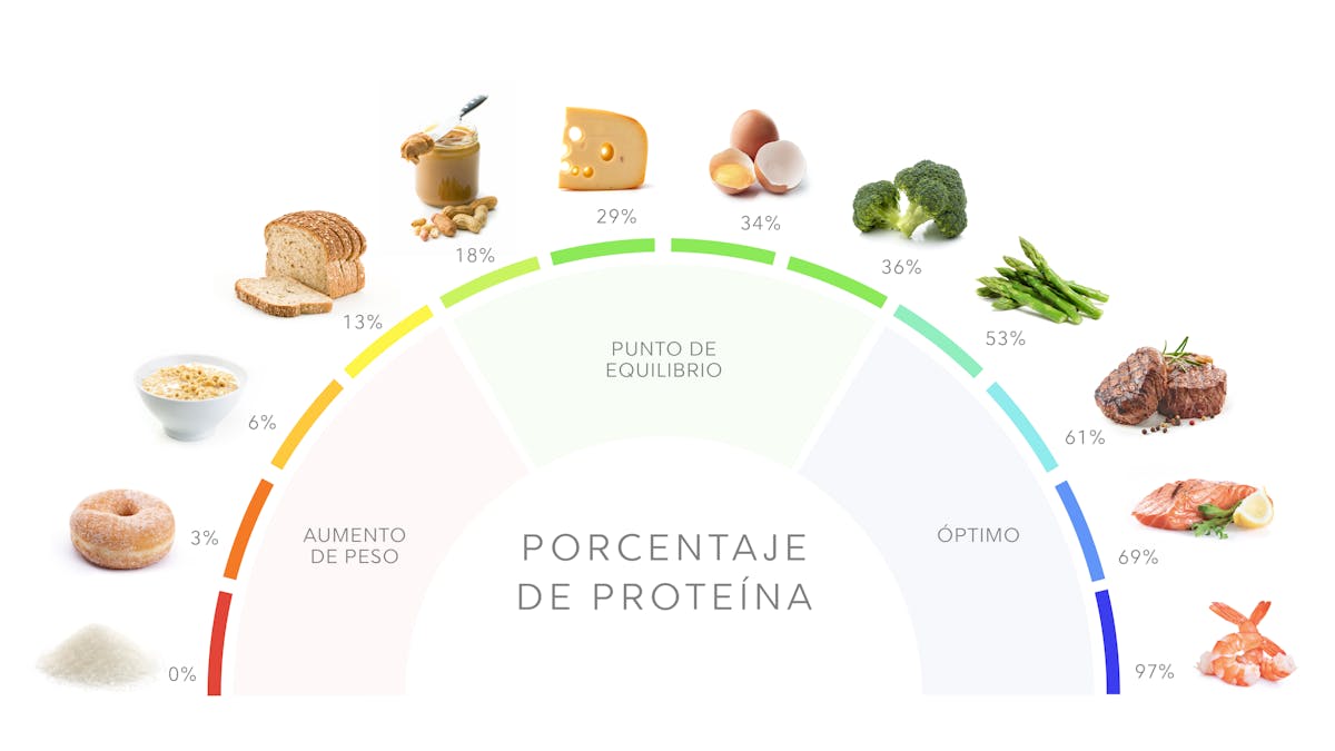 Dieta alta en proteínas: qué es y cómo empezarla