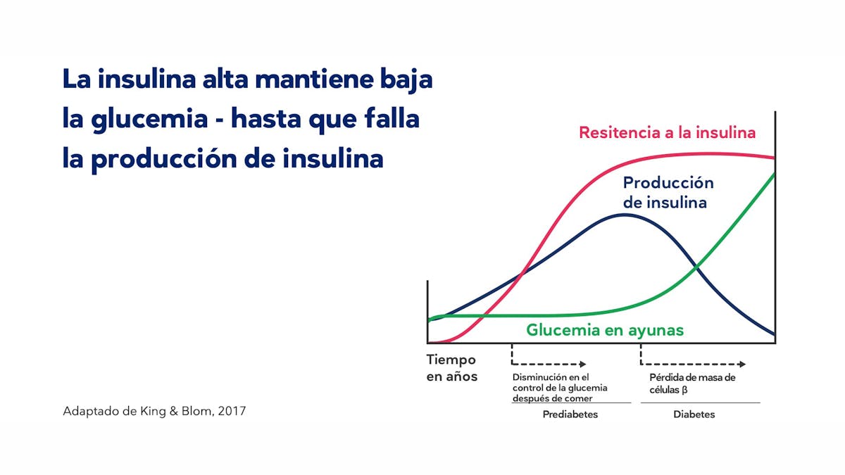 2. Efectos fisiológicos y metabólicos de las dietas con restricción de carbohidratos